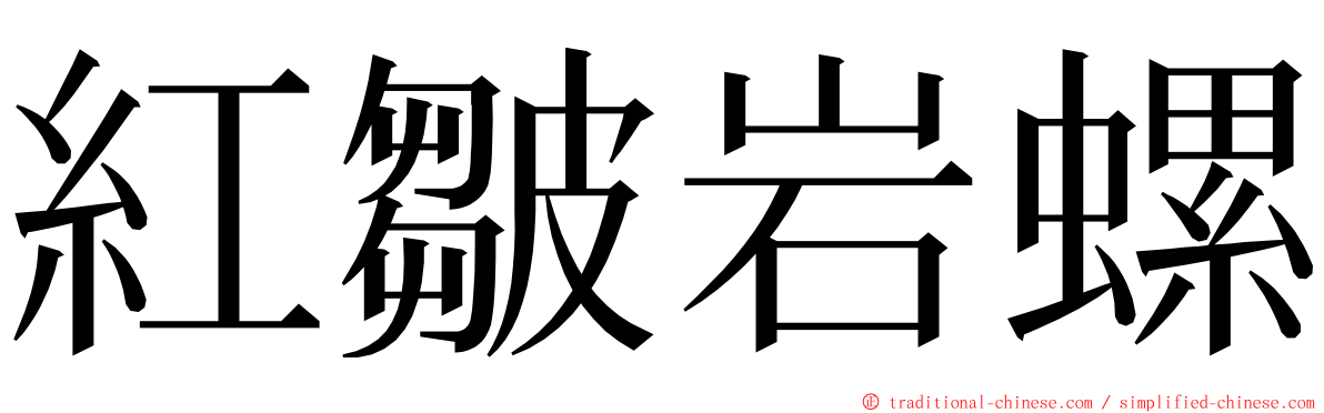 紅皺岩螺 ming font
