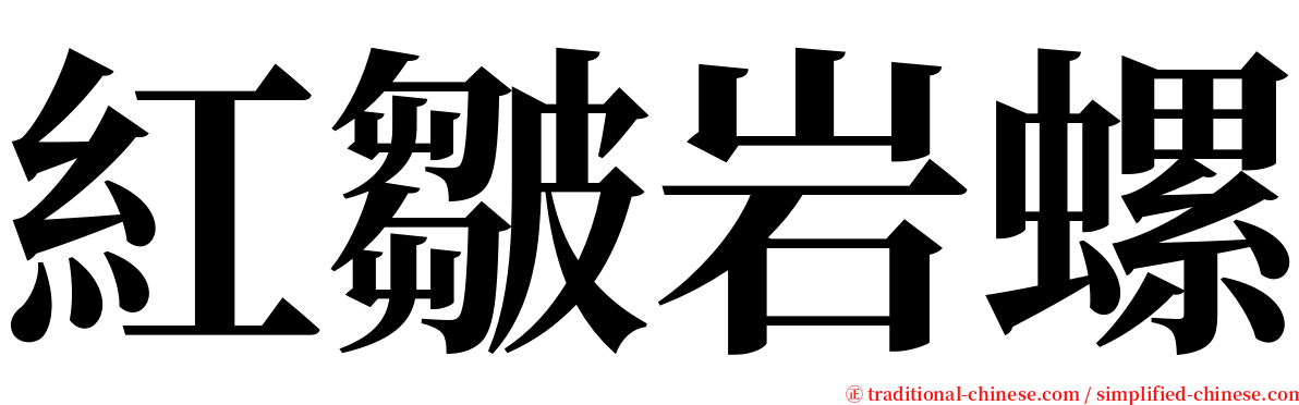 紅皺岩螺 serif font