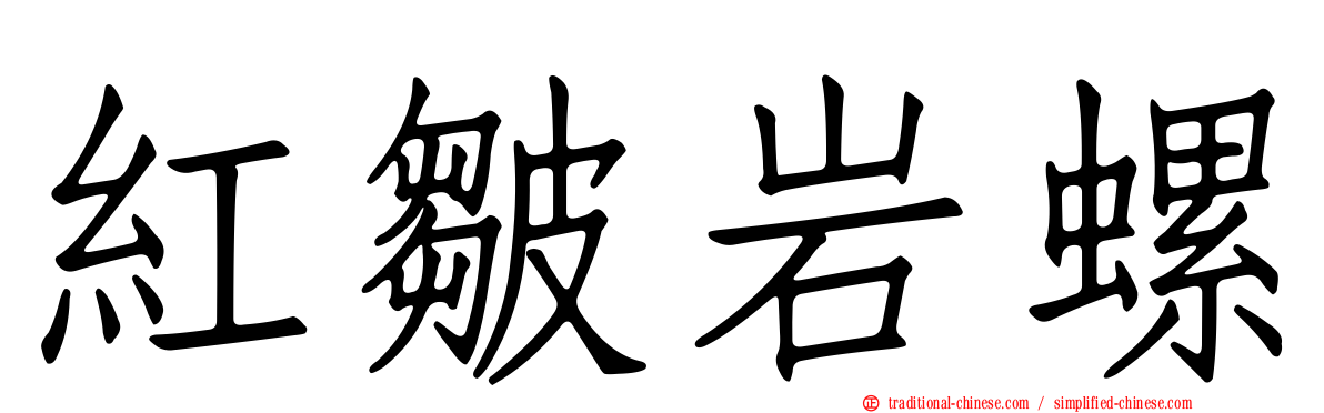 紅皺岩螺