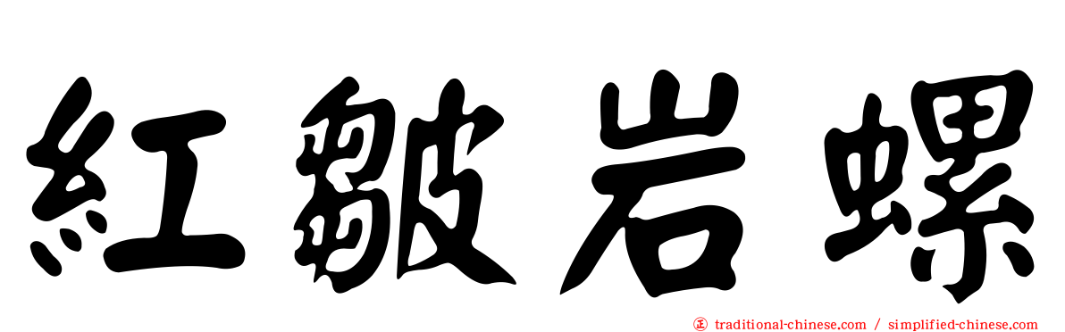 紅皺岩螺