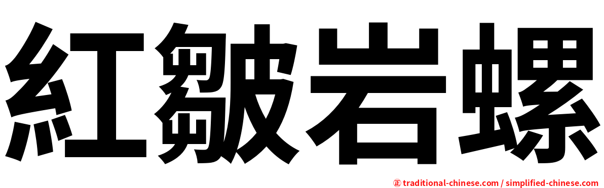 紅皺岩螺