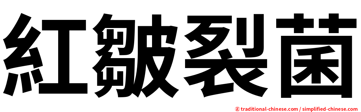 紅皺裂菌