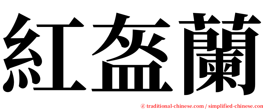 紅盔蘭 serif font