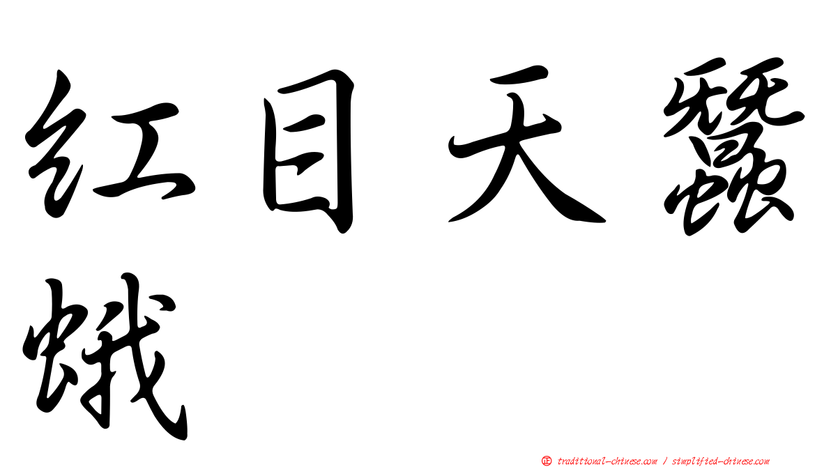 紅目天蠶蛾