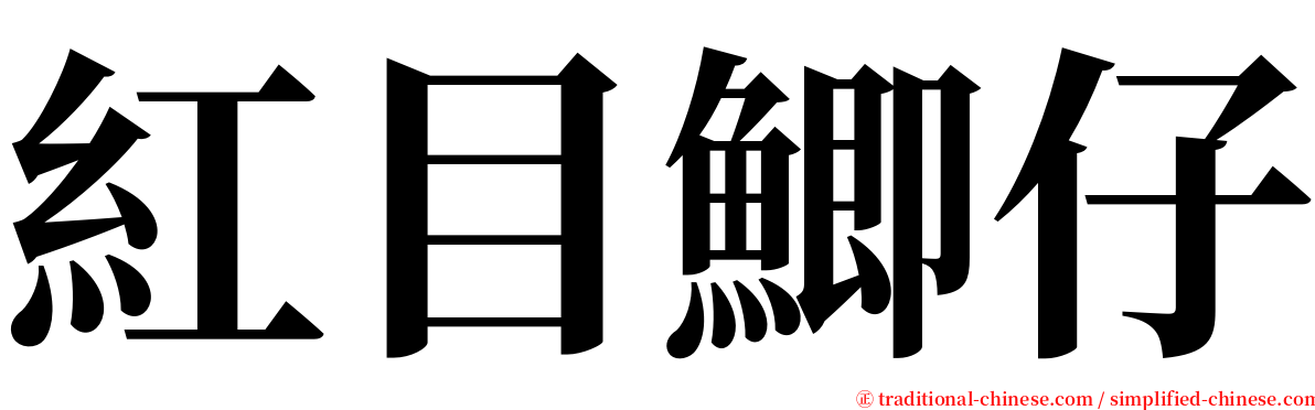 紅目鯽仔 serif font