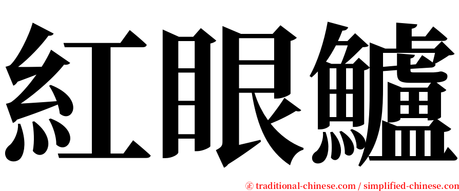 紅眼鱸 serif font