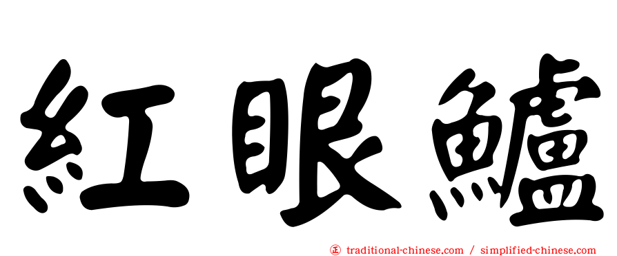 紅眼鱸