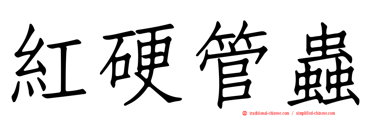紅硬管蟲