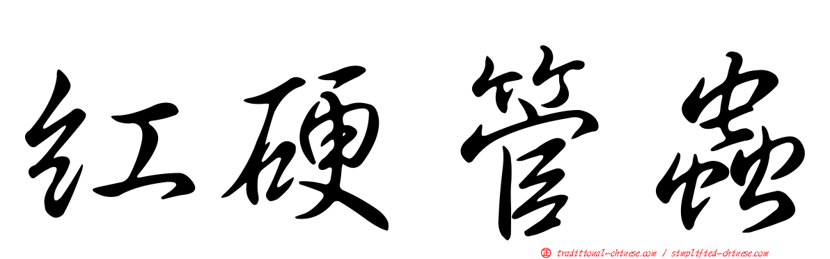 紅硬管蟲