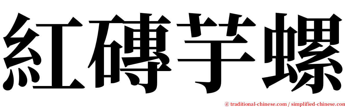 紅磚芋螺 serif font