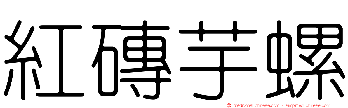紅磚芋螺