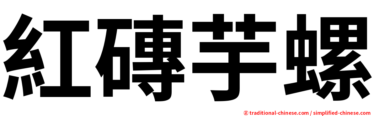 紅磚芋螺