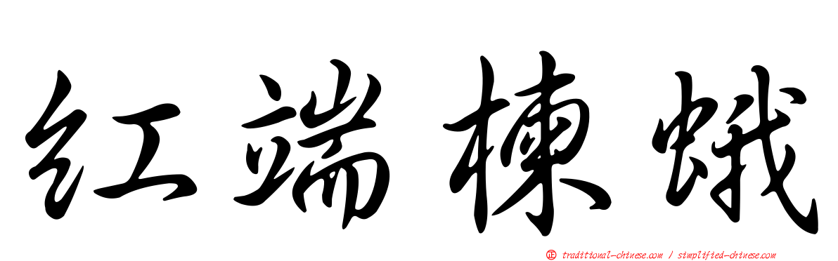 紅端楝蛾