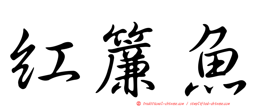紅簾魚