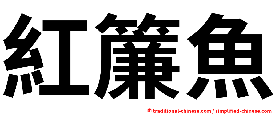 紅簾魚