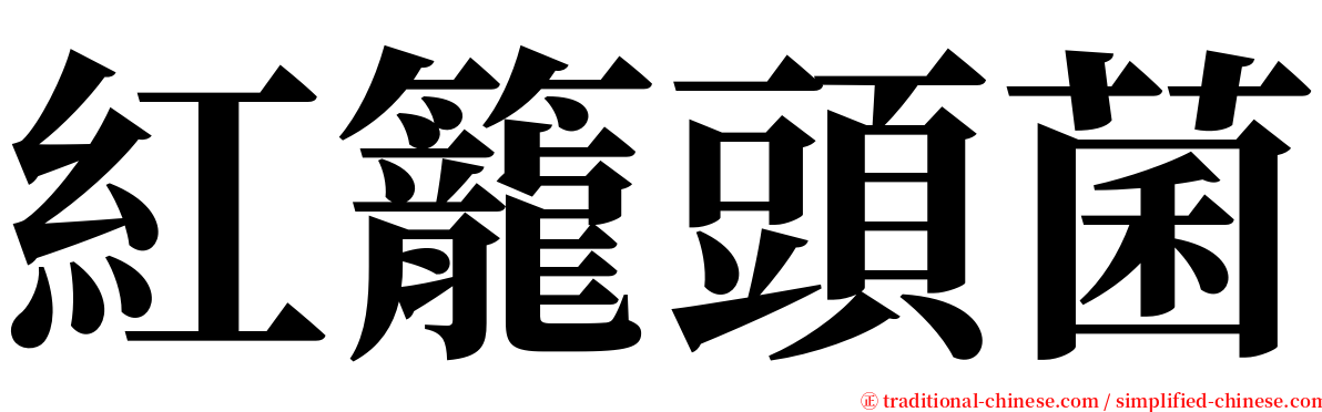 紅籠頭菌 serif font