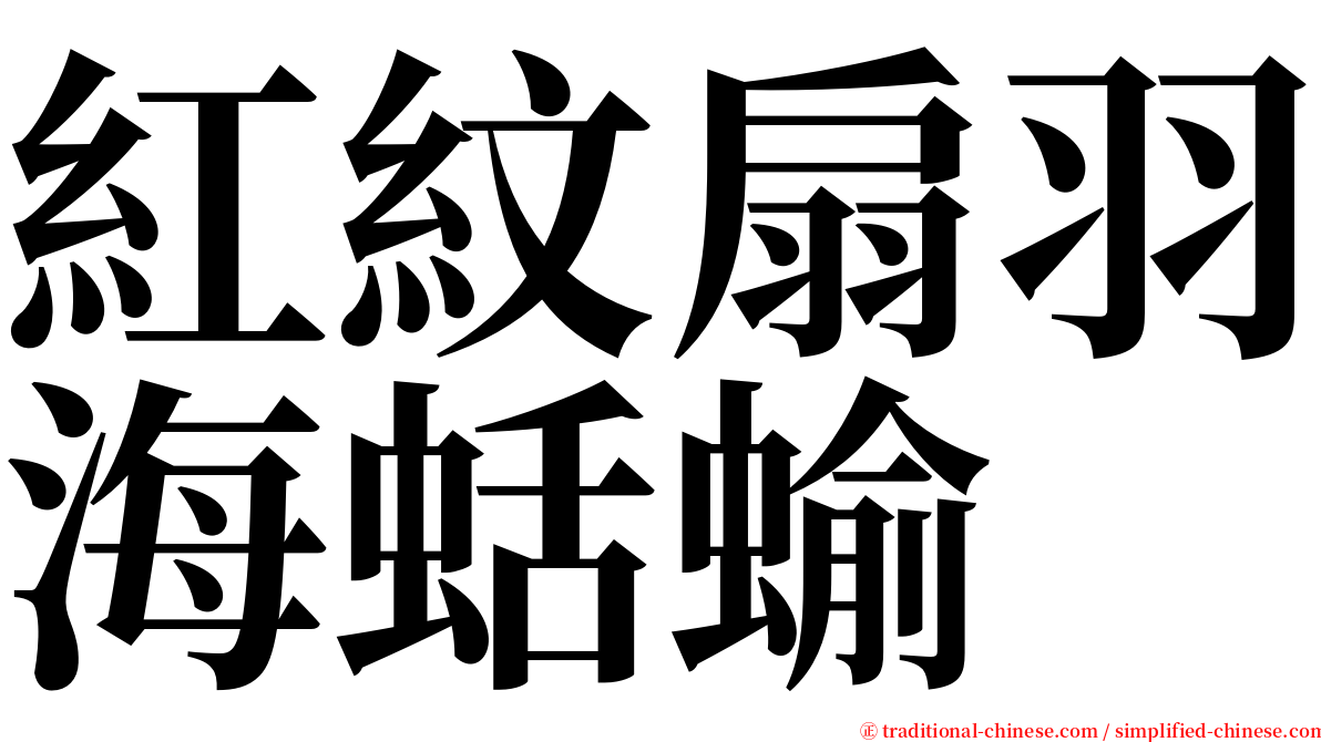 紅紋扇羽海蛞蝓 serif font