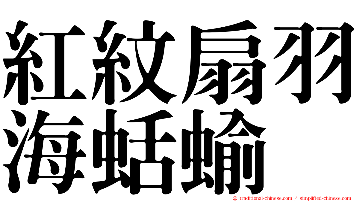 紅紋扇羽海蛞蝓