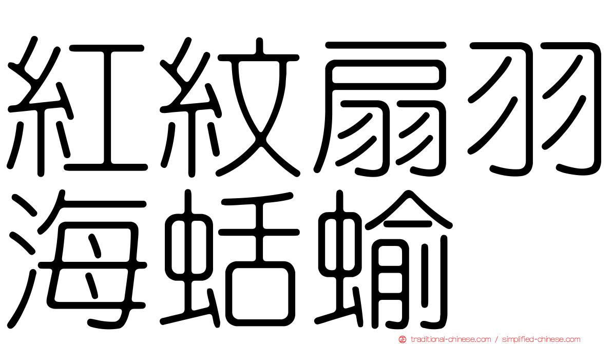 紅紋扇羽海蛞蝓