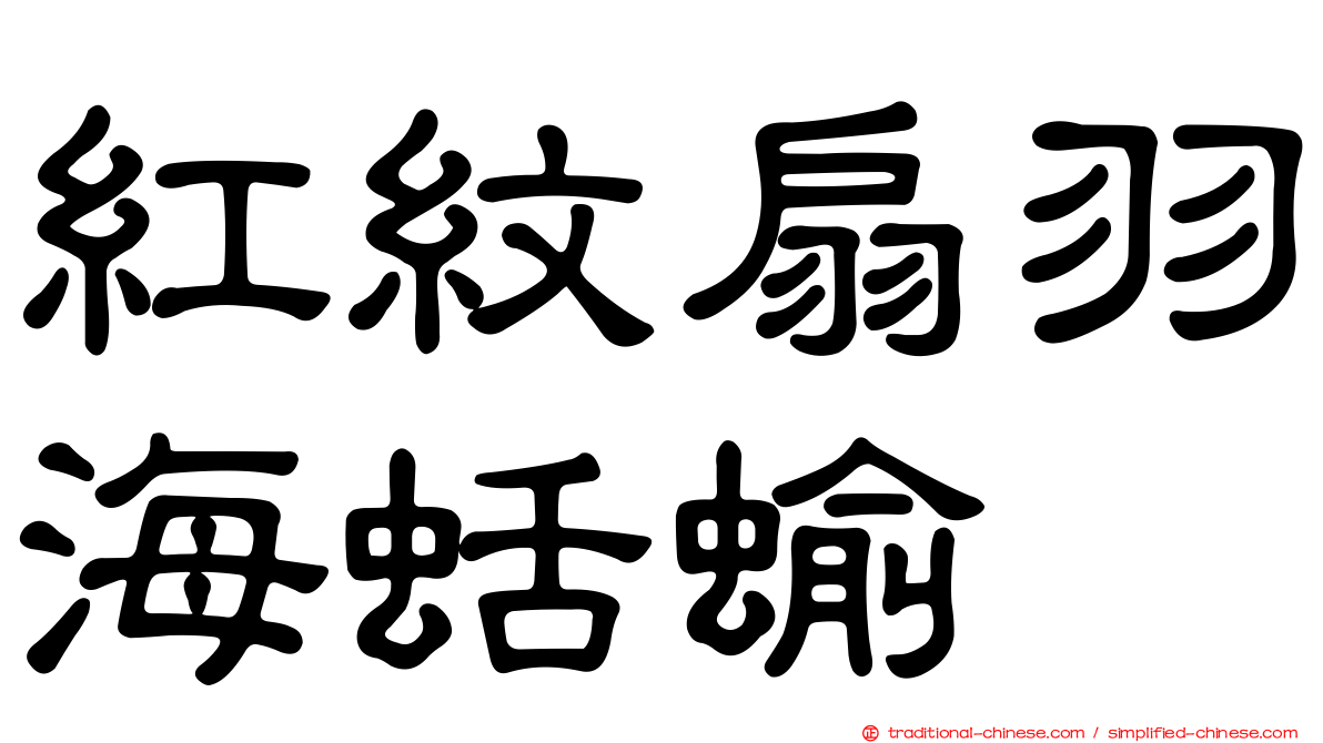 紅紋扇羽海蛞蝓