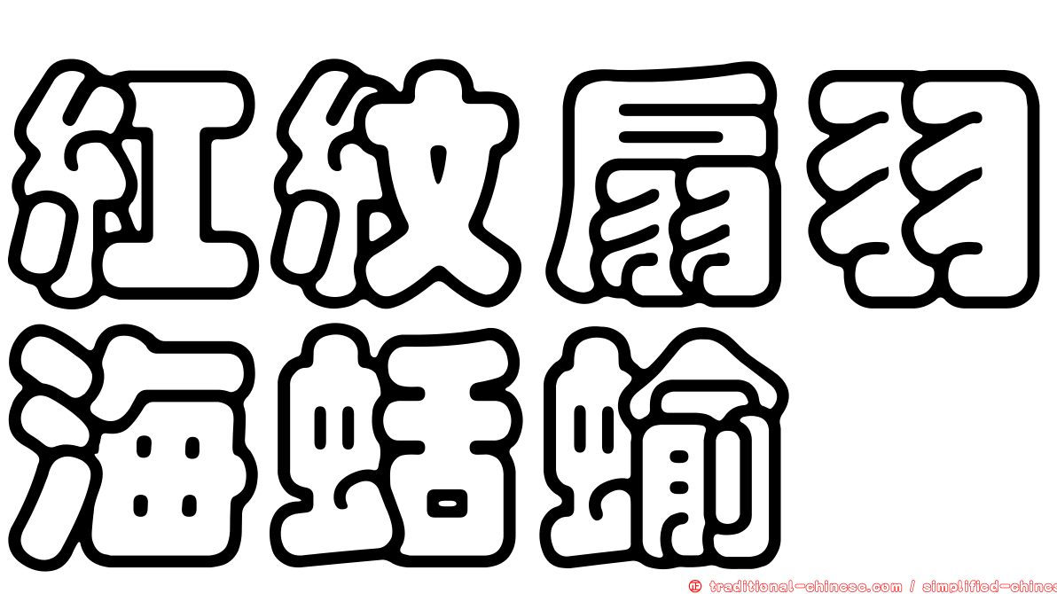 紅紋扇羽海蛞蝓