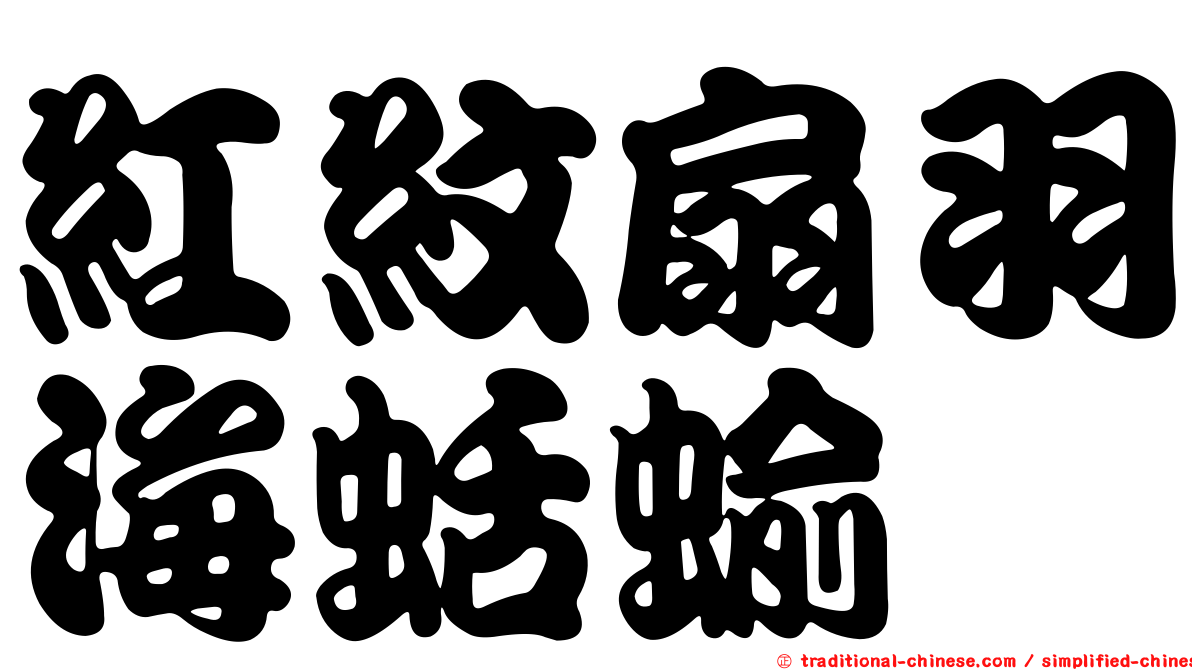 紅紋扇羽海蛞蝓