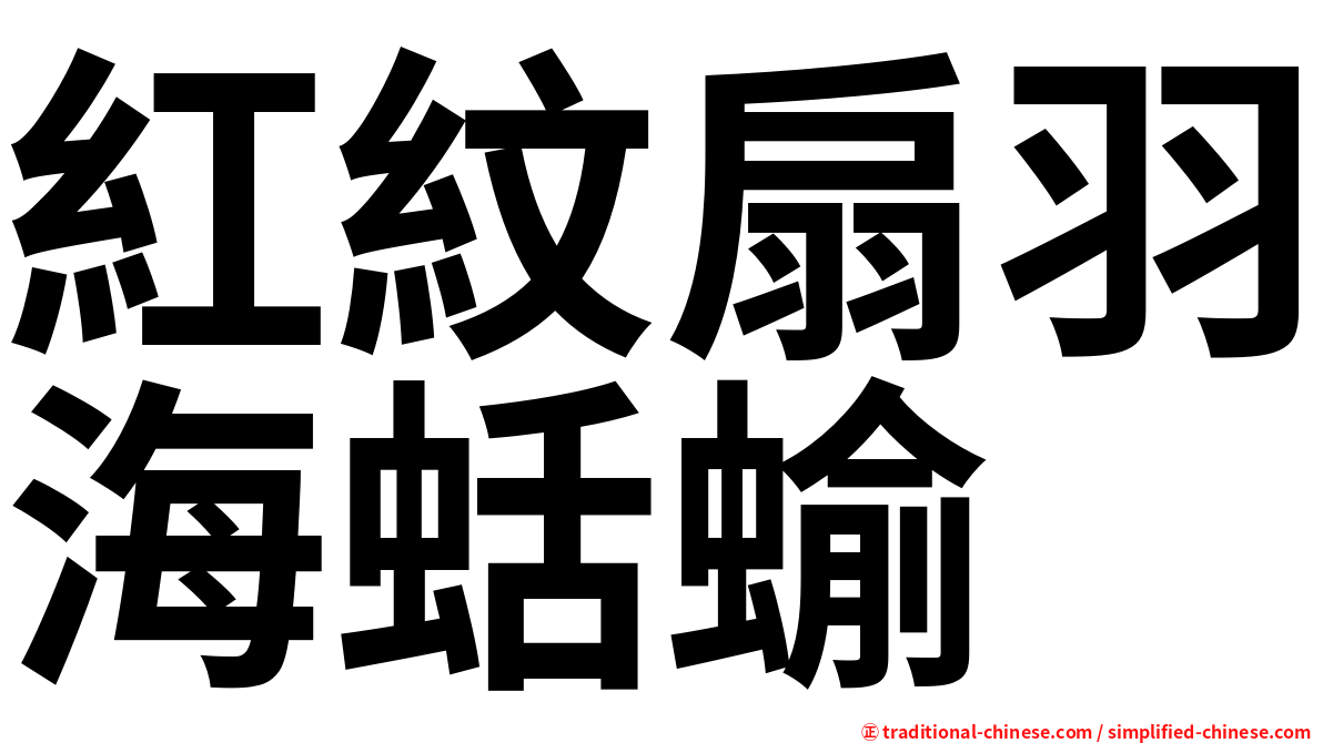 紅紋扇羽海蛞蝓