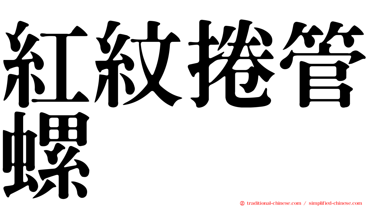 紅紋捲管螺