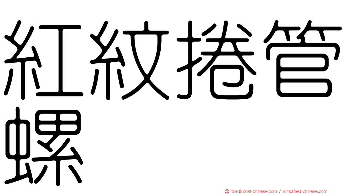 紅紋捲管螺
