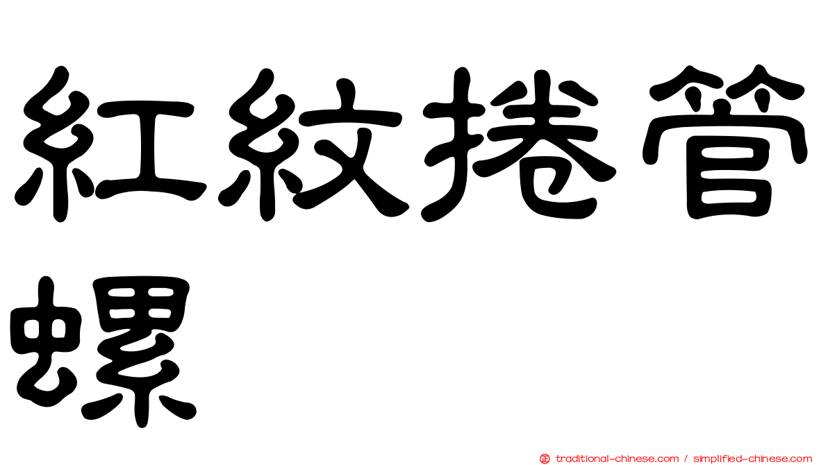 紅紋捲管螺