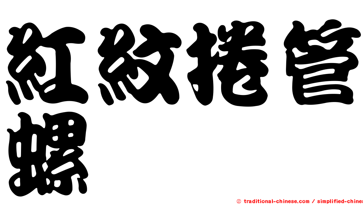 紅紋捲管螺