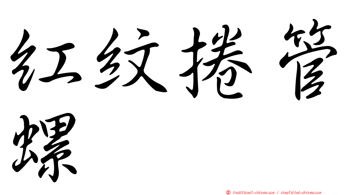 紅紋捲管螺