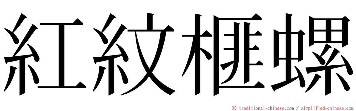 紅紋榧螺 ming font