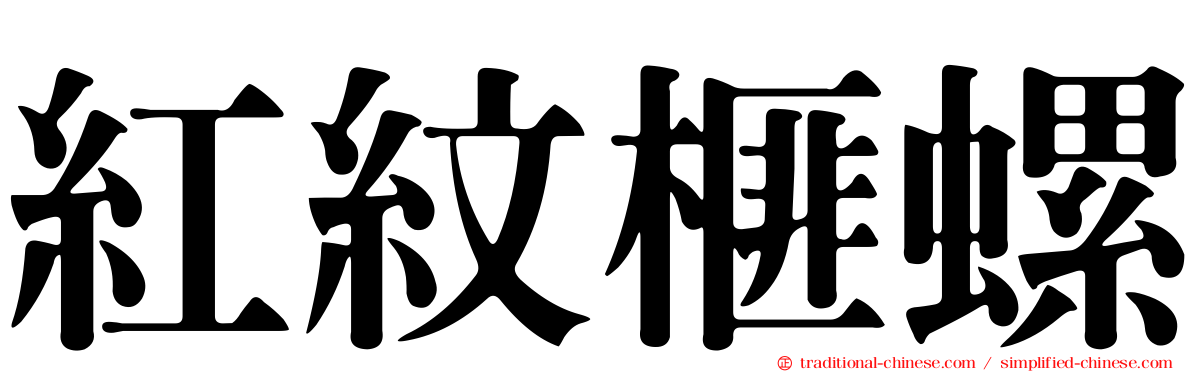 紅紋榧螺