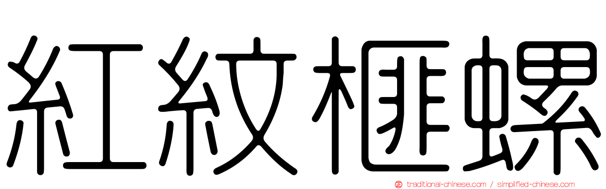 紅紋榧螺