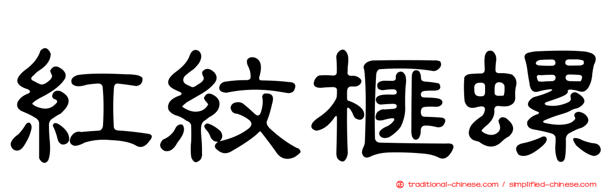 紅紋榧螺