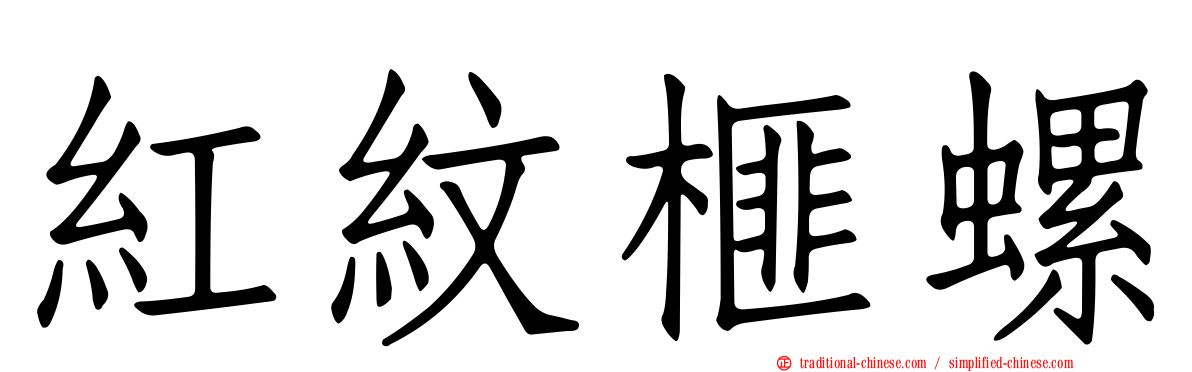 紅紋榧螺