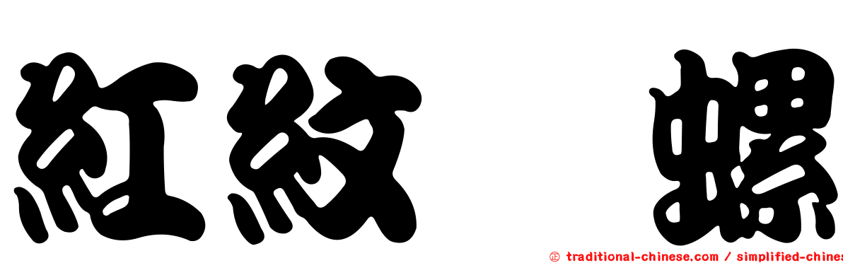 紅紋榧螺