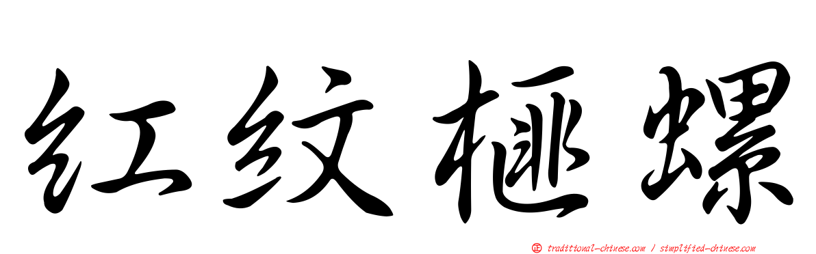 紅紋榧螺