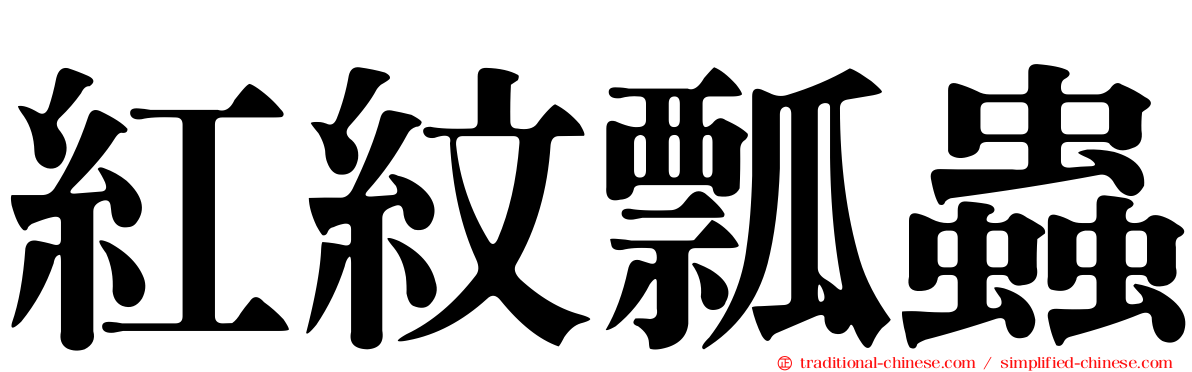 紅紋瓢蟲
