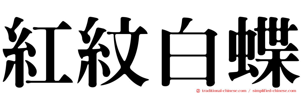 紅紋白蝶