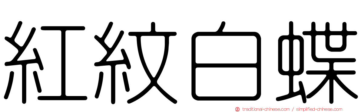 紅紋白蝶