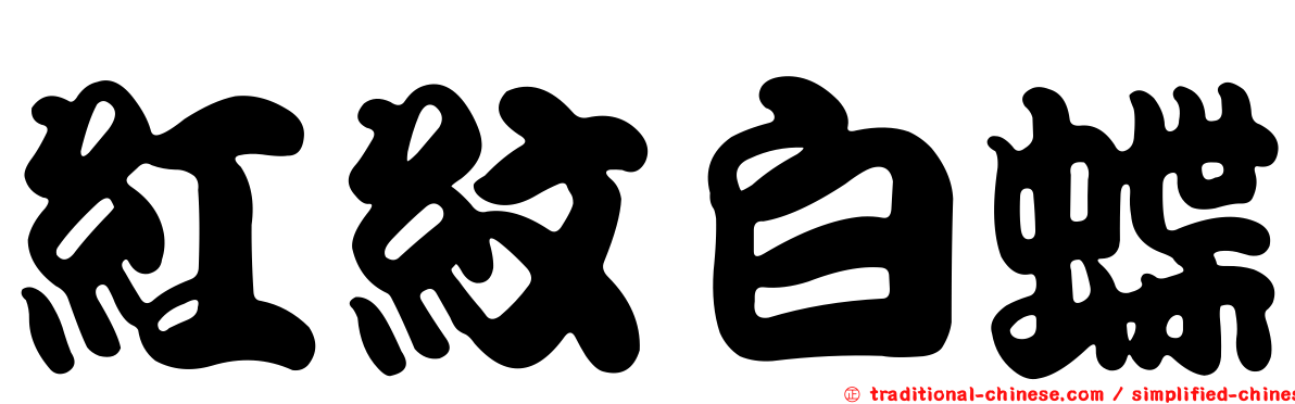 紅紋白蝶
