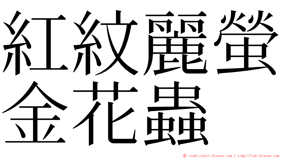紅紋麗螢金花蟲 ming font