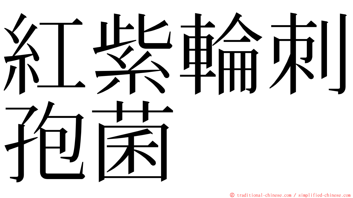 紅紫輪刺孢菌 ming font