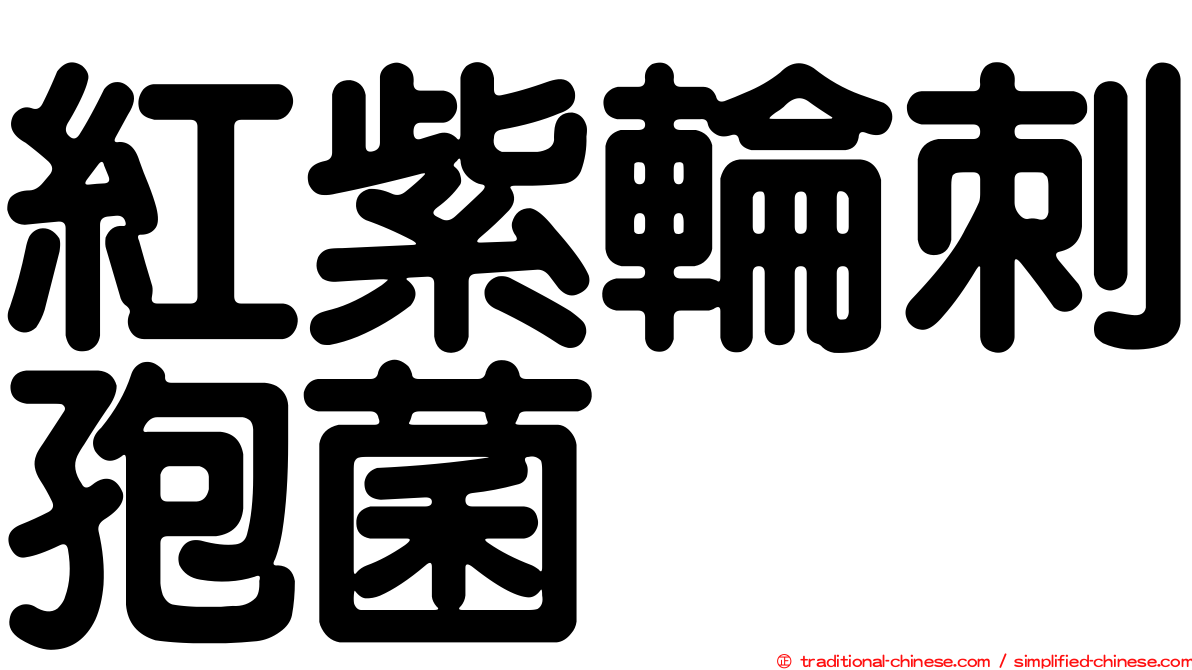 紅紫輪刺孢菌