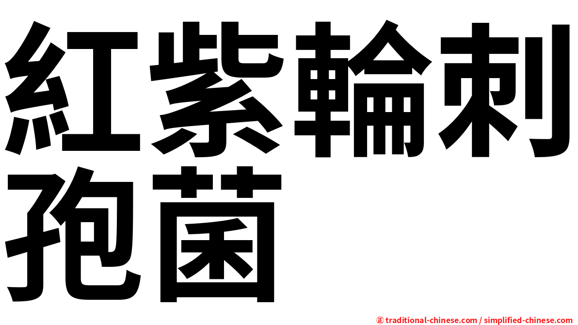 紅紫輪刺孢菌