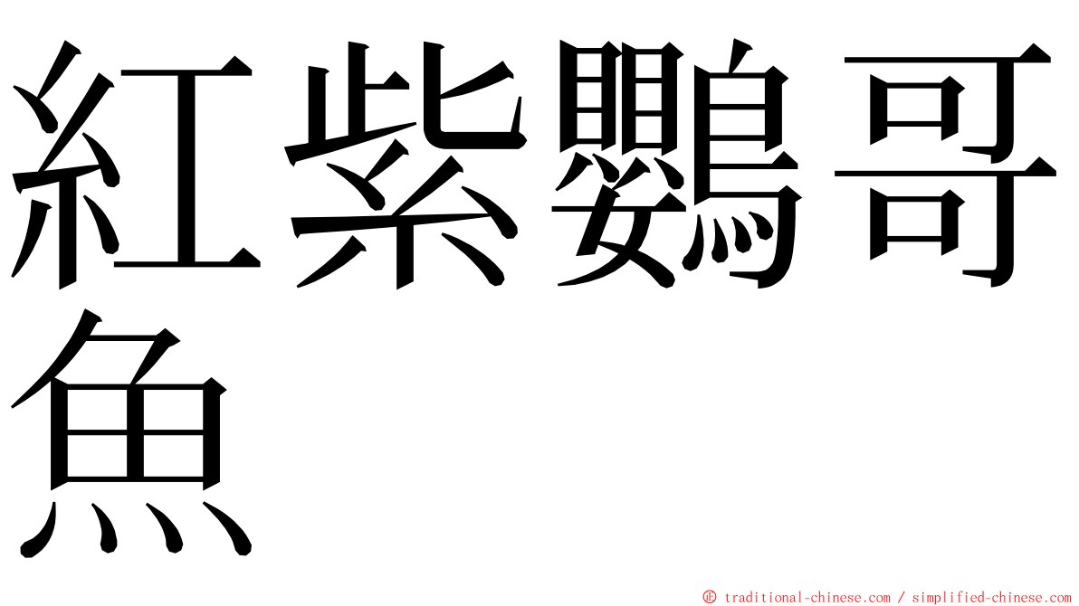 紅紫鸚哥魚 ming font