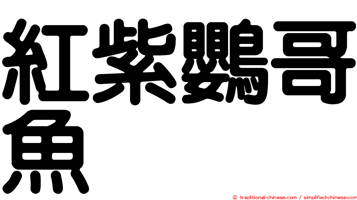 紅紫鸚哥魚