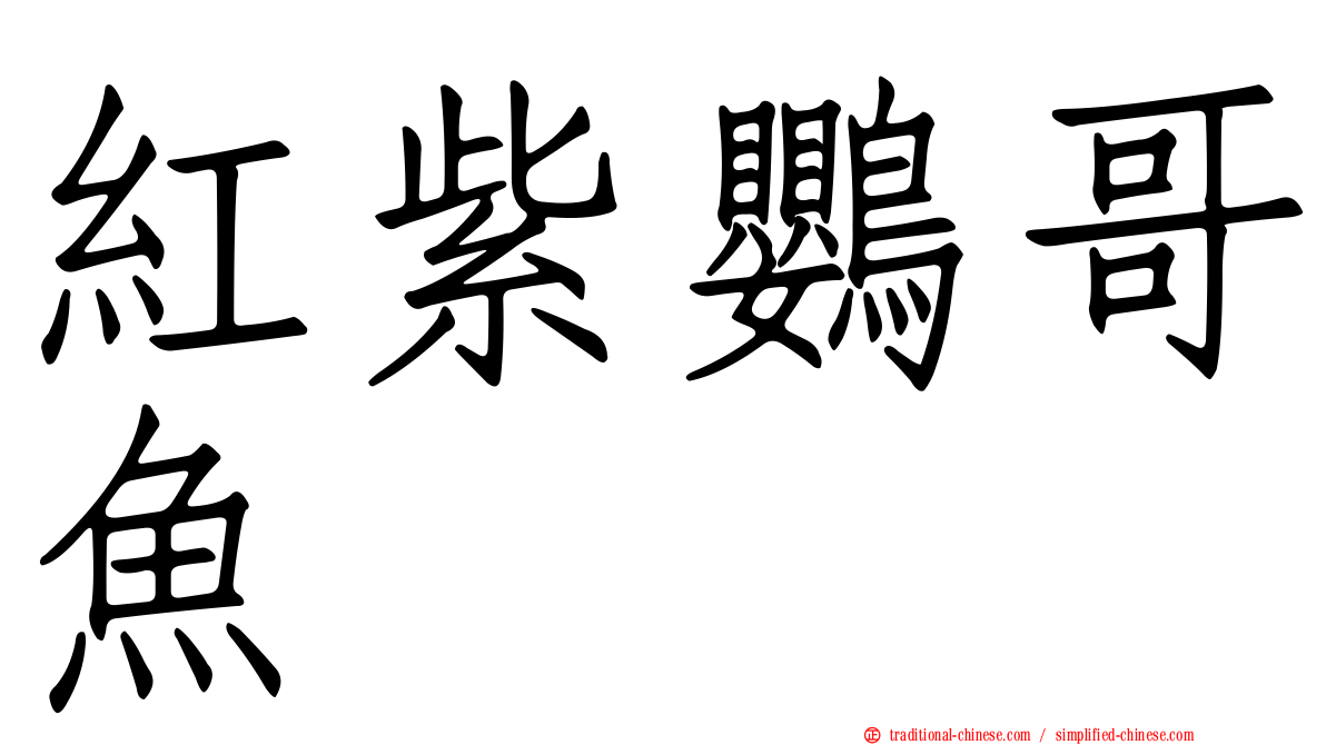紅紫鸚哥魚